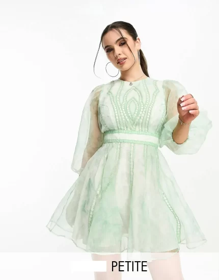 Petite lace insert embroidered organza mini skater dress in green print